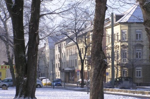 Winter in Ulm